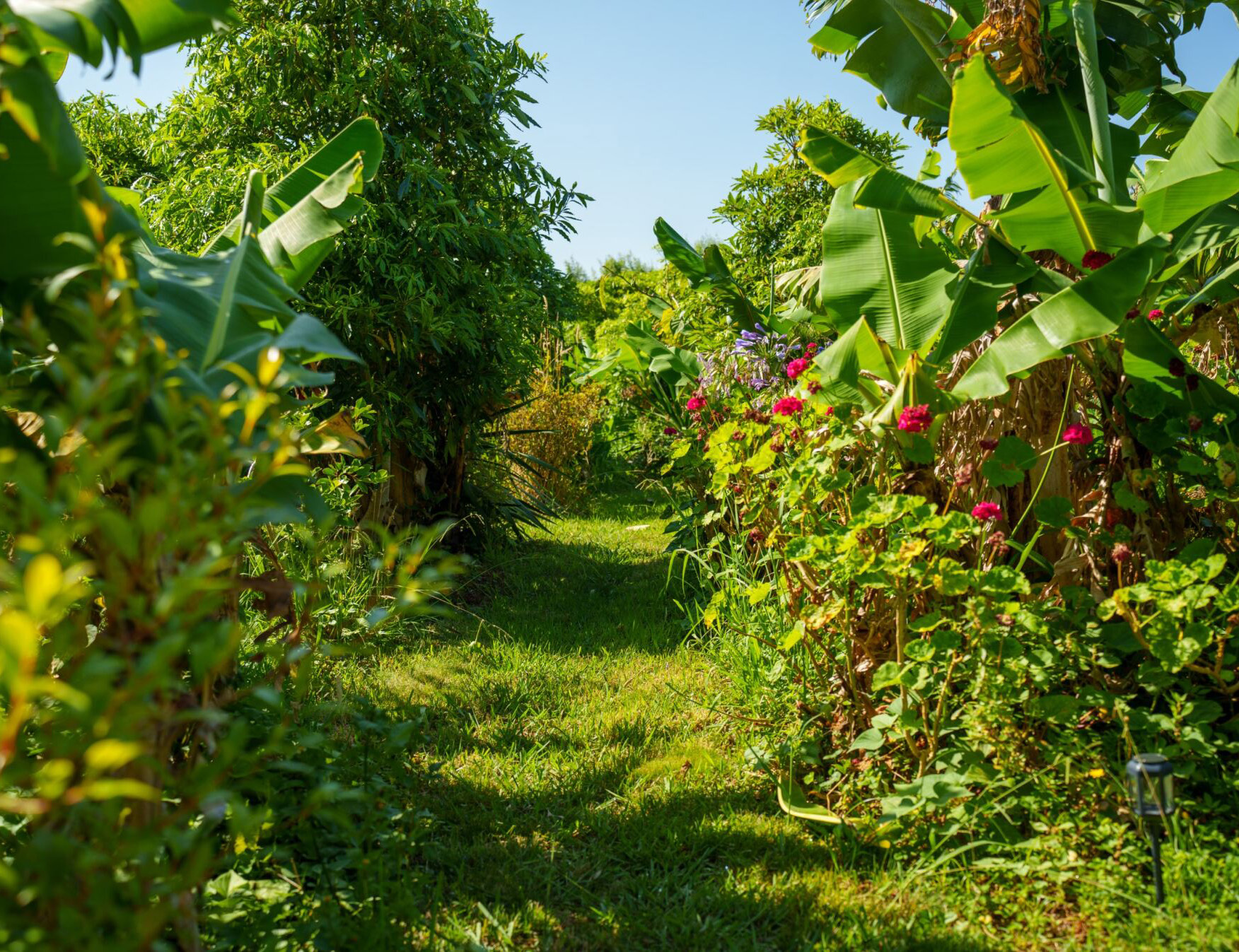 bio-regioes faial biologico